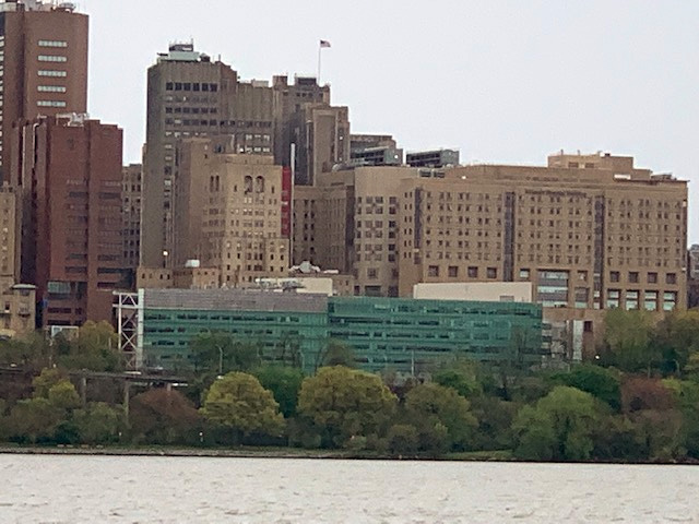 Columbia University Psychiatric Hospital atop Dead Dog Park.