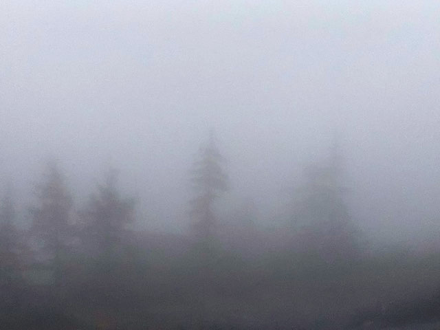 Fog above the Gastineau.