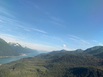 A small part of the Tongass National Forest