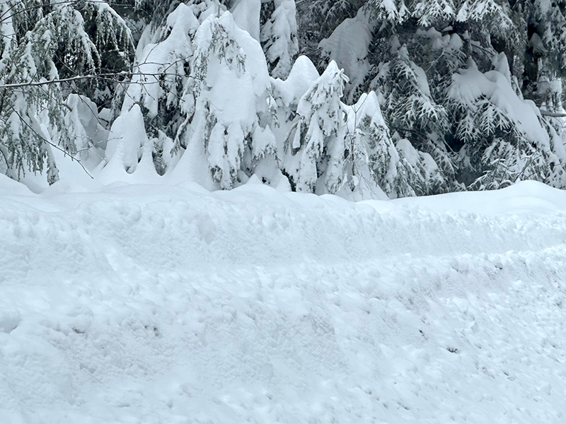 Berm at our driveway. Berm at our driveway.