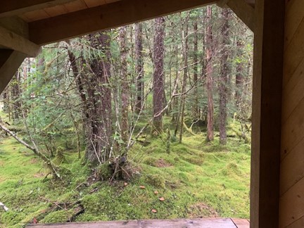 The view from inside the outhouse.