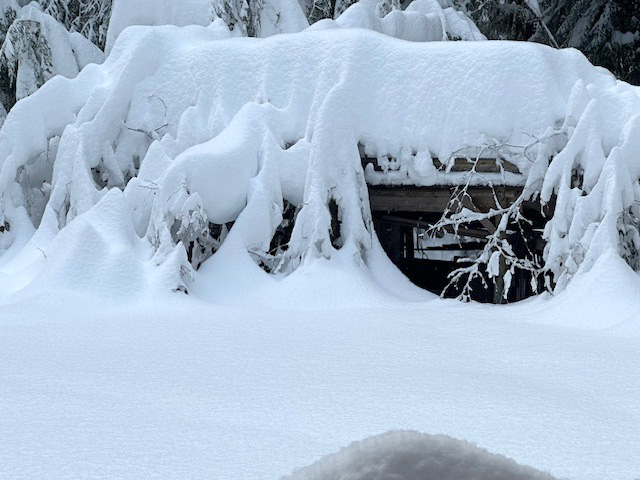 Garden shed. Who gardens in the wintertime anyway? Garden shed. Who gardens in the wintertime anyway?